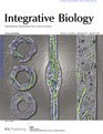 Integrative Biology, 3, 897-909, 2011 (cover article).