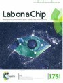 Lab on a Chip, 16 (18), 3473-3484, 2016. (Cover article)