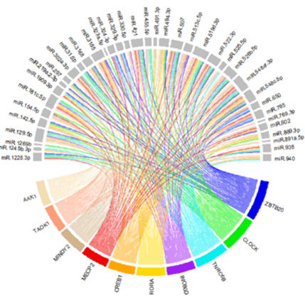 Multi-Omics Aging Studies of Cardiac Tissue Extracellular Vesicles