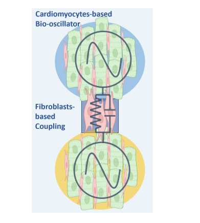 Cell based biocomputing Research